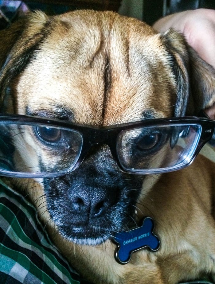 Charlie 2014