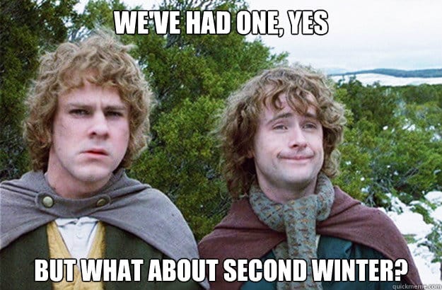 Second Winter