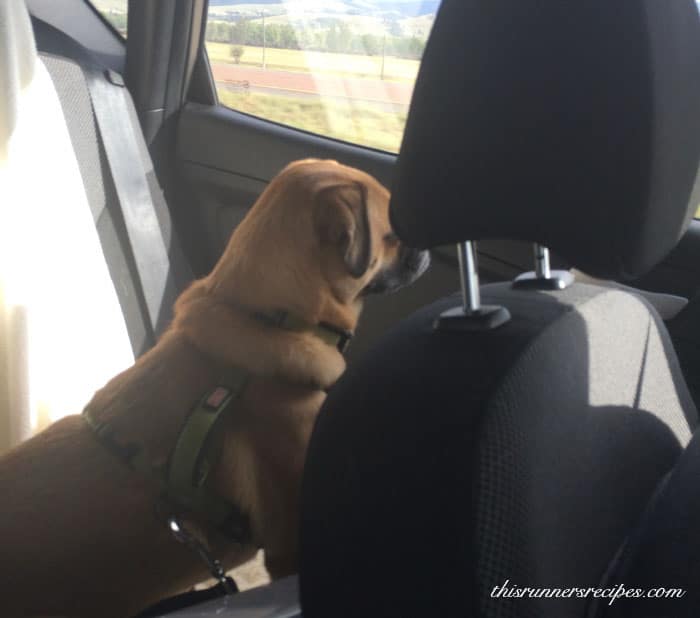 Charlie road trip