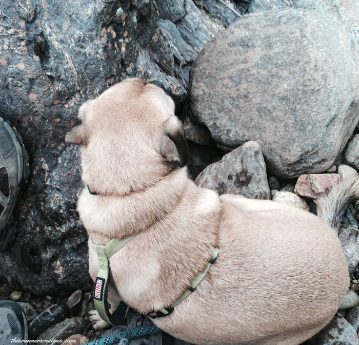 Goat Lake Hiking