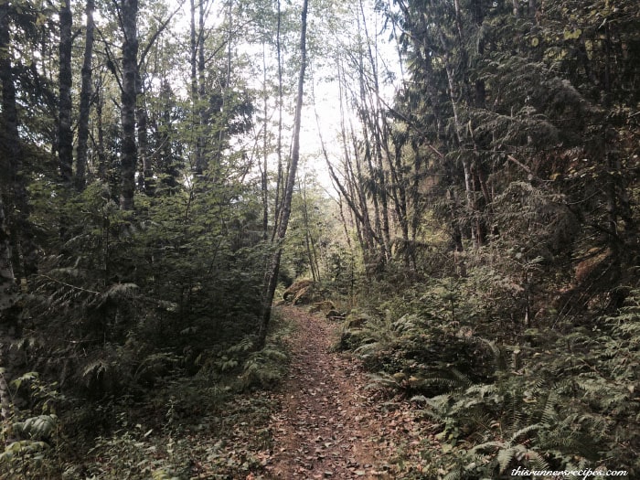 Goat Lake Hiking Washington