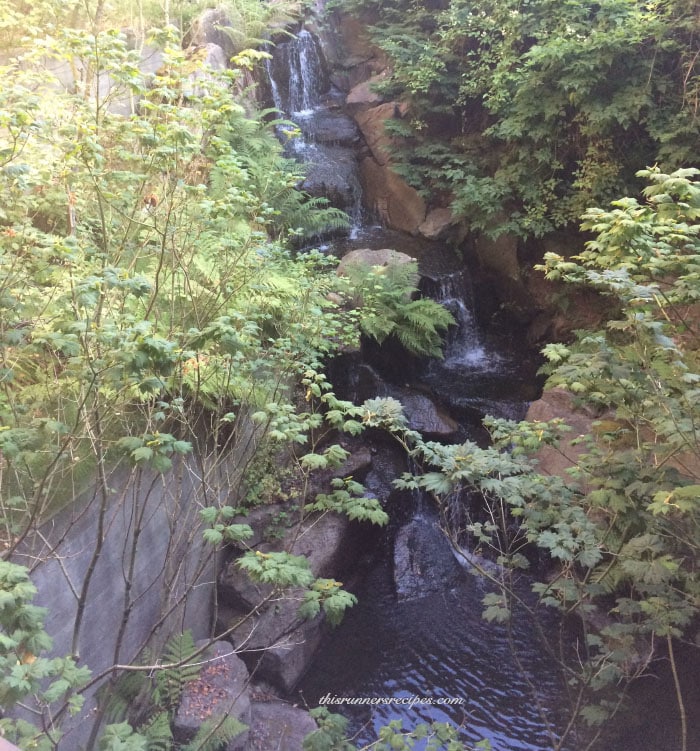 REI Flagship Store