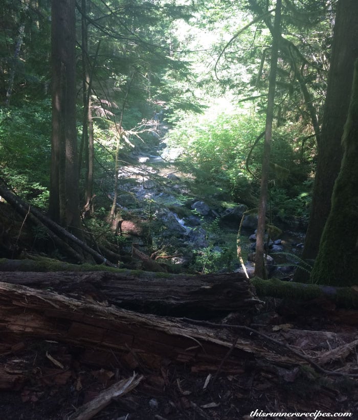 Wallace Lake Washington