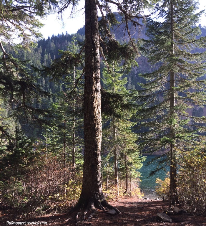 Camping at Annette Lake 4