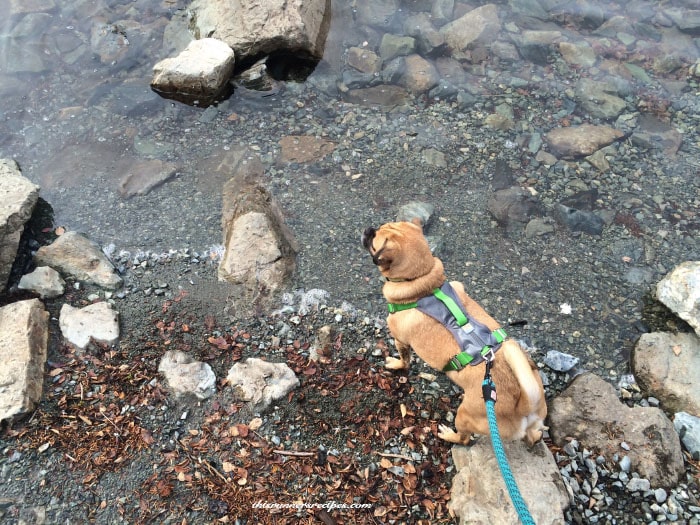 Hiking at Snow Lake in the Washington Cascades