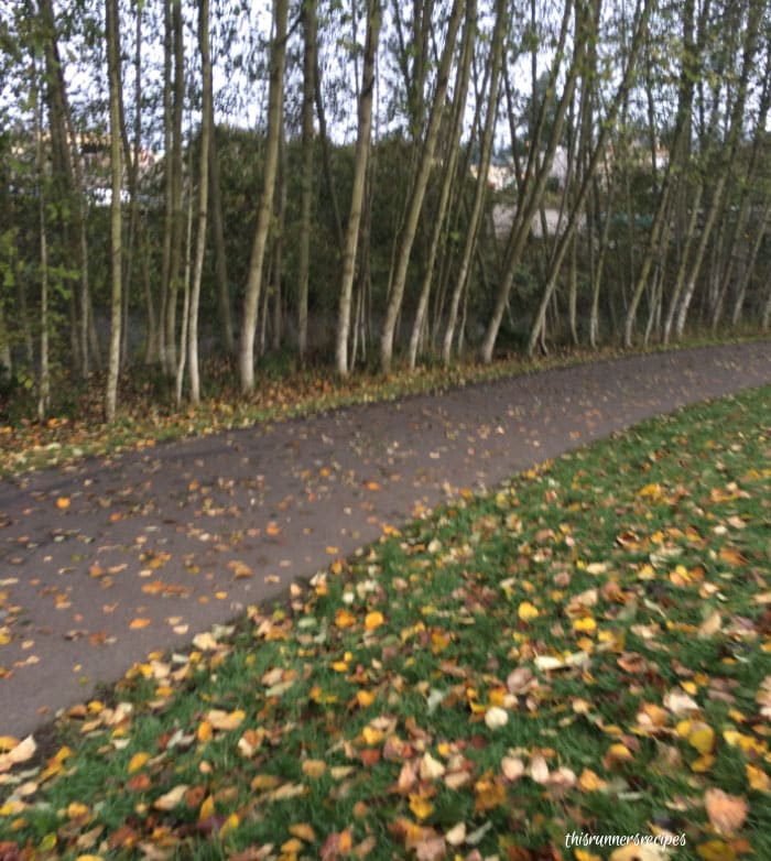 Mile Markers November Running