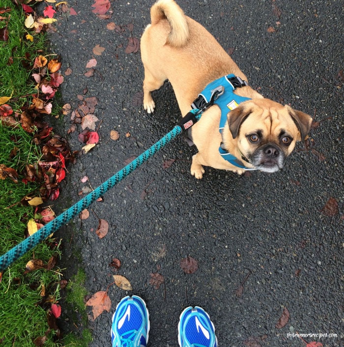 Mile Markers November 8: Running with Charlie