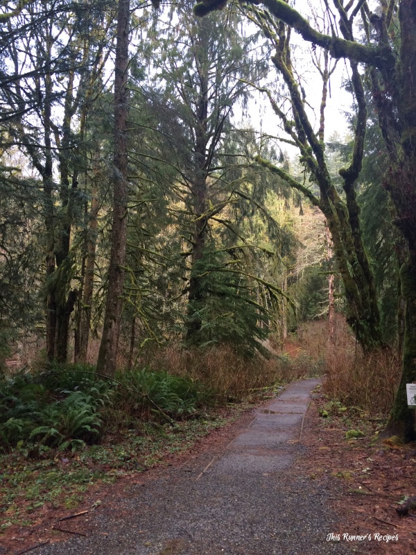Mount Si Winter Hiking