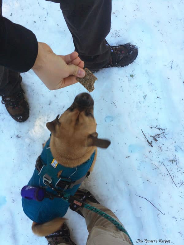 Healthy Hiking with Manitoba Harvest Hemp Heart Bars