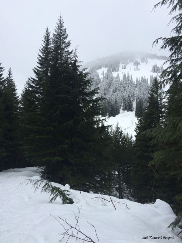 Lake Sammamish Half Marathon Training Week 8