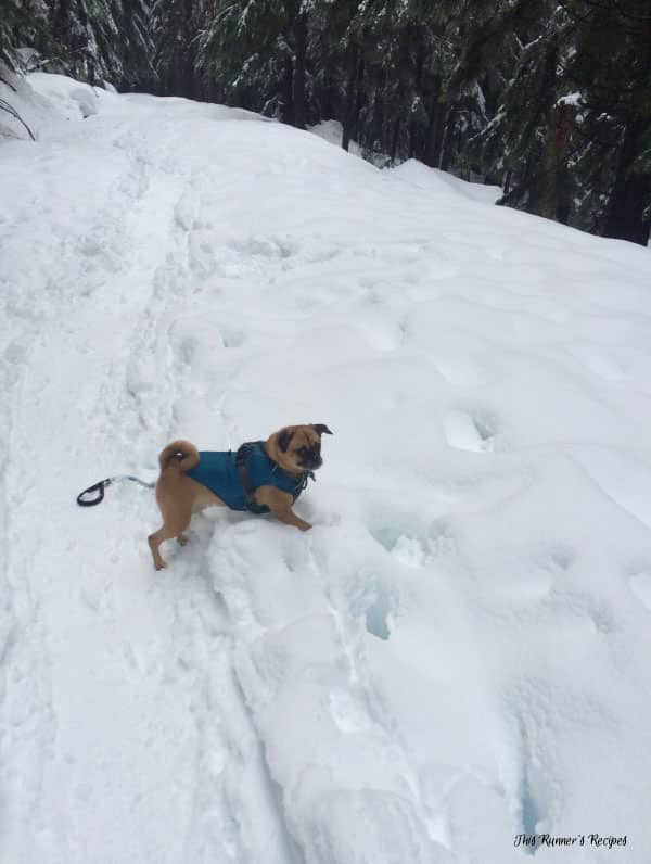 Lake Sammamish Half Marathon Training Week 7