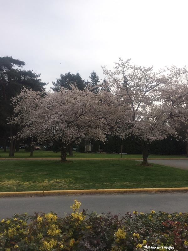 Mile Markers: Return to Routine