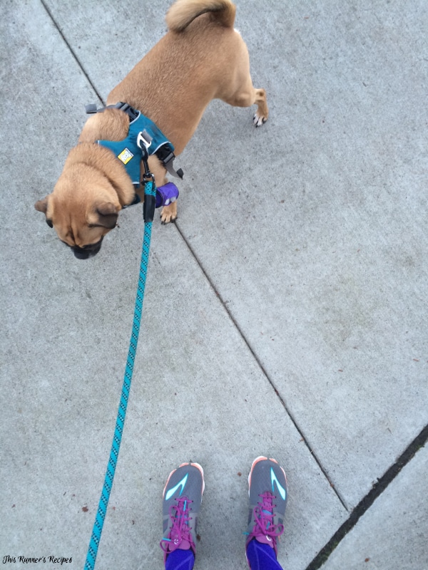 Mile Markers: Return to Routine