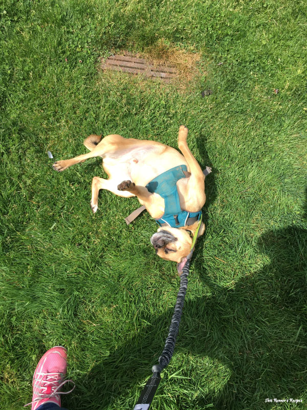 Jack and Jill Marathon Training Week 4
