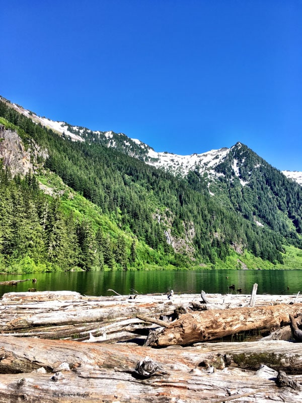 Backpacking, Camping, and Unplugging