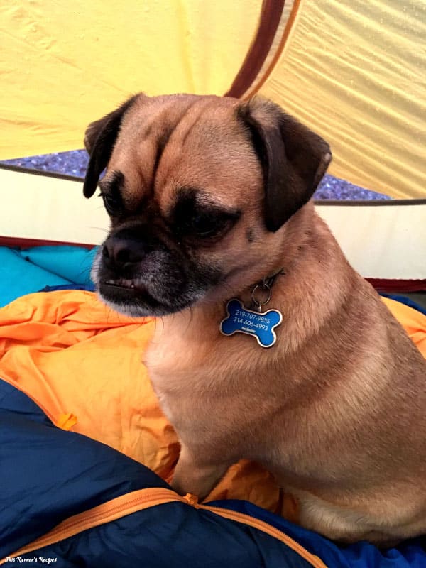Backpacking, Camping, and Unplugging