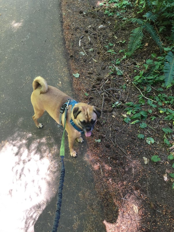 Mile Markers: Running, Hiking, and Weekly Workouts