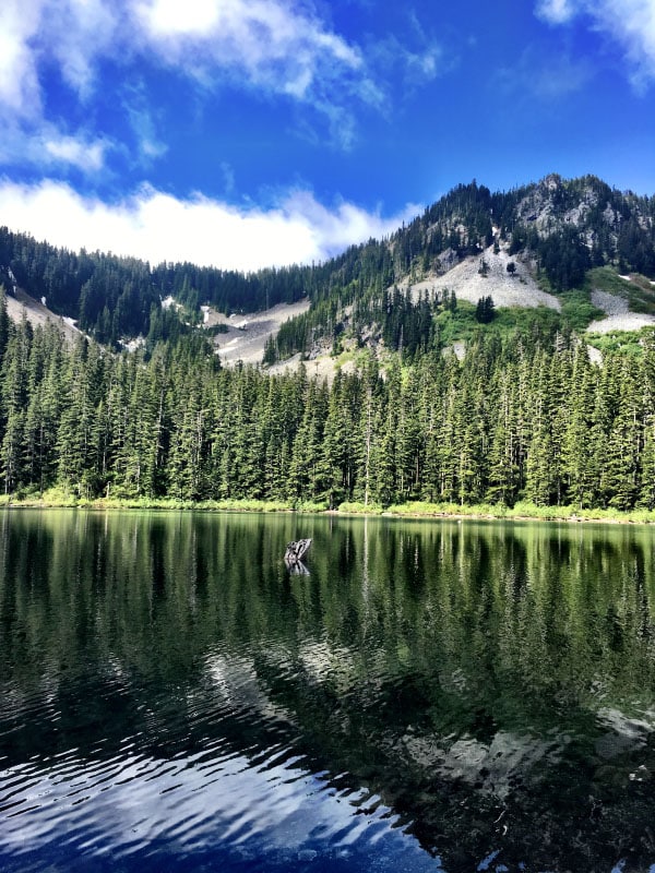 Mile Markers: Running, Hiking, and Weekly Workouts