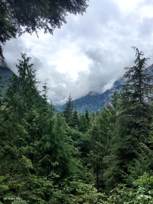 You Don't Need to Hike to Enjoy the National Parks
