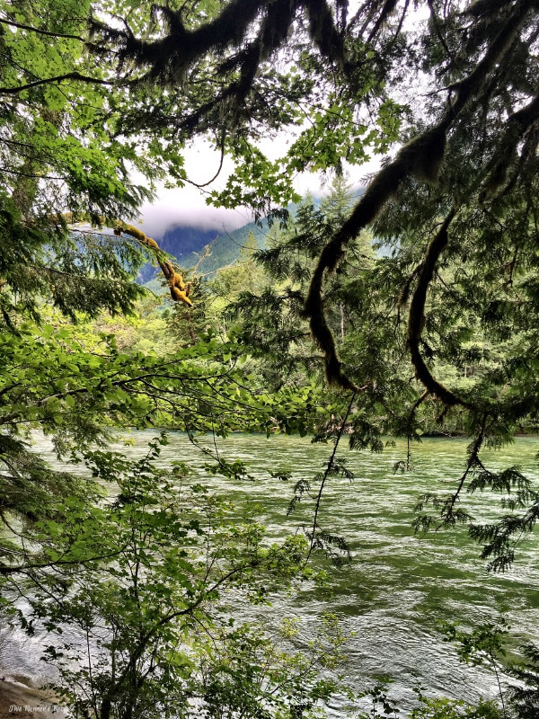 You Don't Need to Hike to Enjoy the National Parks