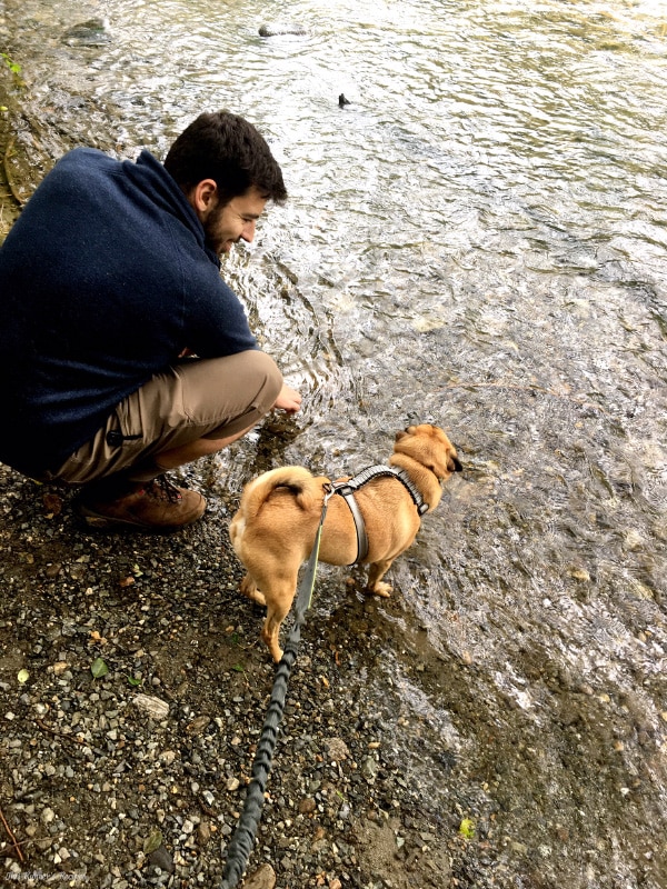 You Don't Need to Hike to Enjoy the National Parks