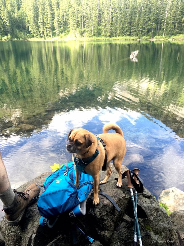 Pacific Northwest Hiking in June 2016