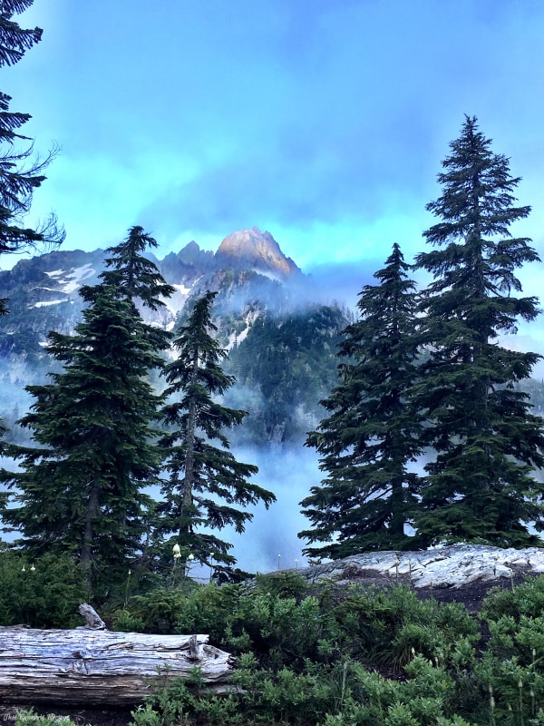 Mile Markers: A Week in Running and Hiking, July 11-17