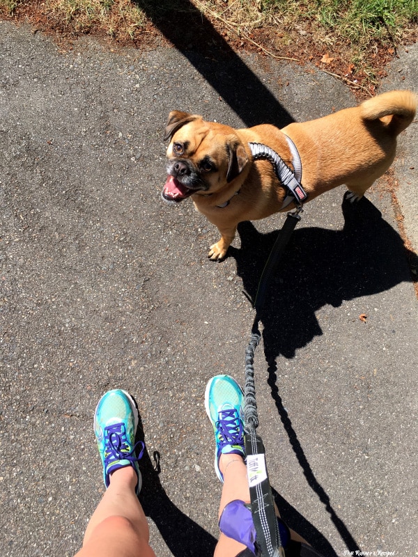Mile Markers: A Week in Running and Hiking, July 11-17