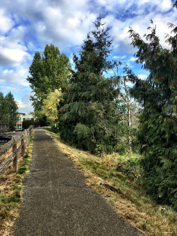California International Marathon Training Week 6