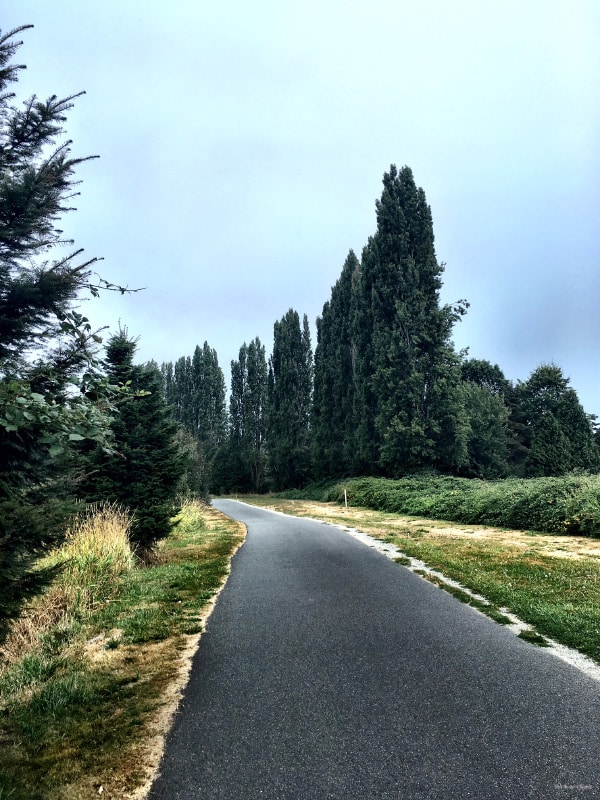 California International Marathon Training Week 5