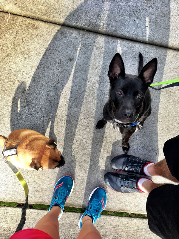 California International Marathon Training Week 8