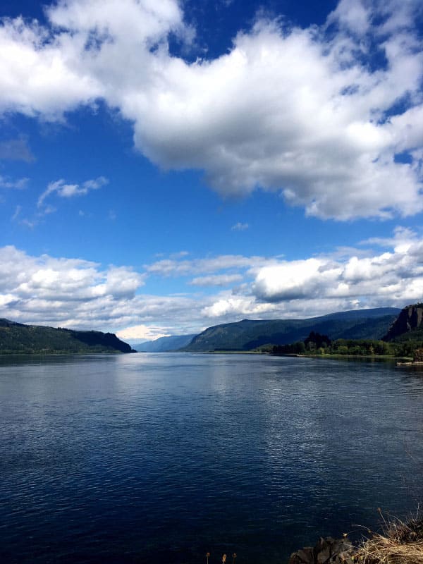 High Five Friday: Birthday and Portland