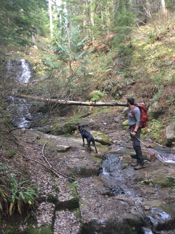 Hiking Pratt Lake Trail