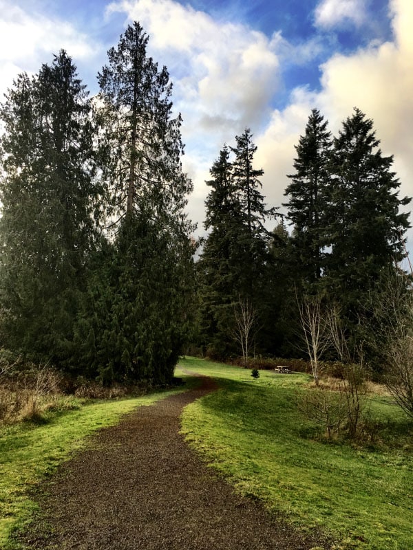 California International Marathon Training Race Week