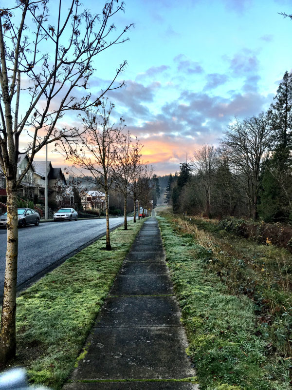 California International Marathon Training Race Week