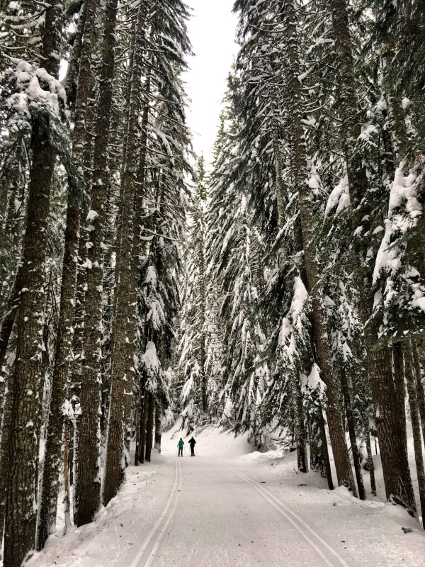 Winter Cross-Training for Runners