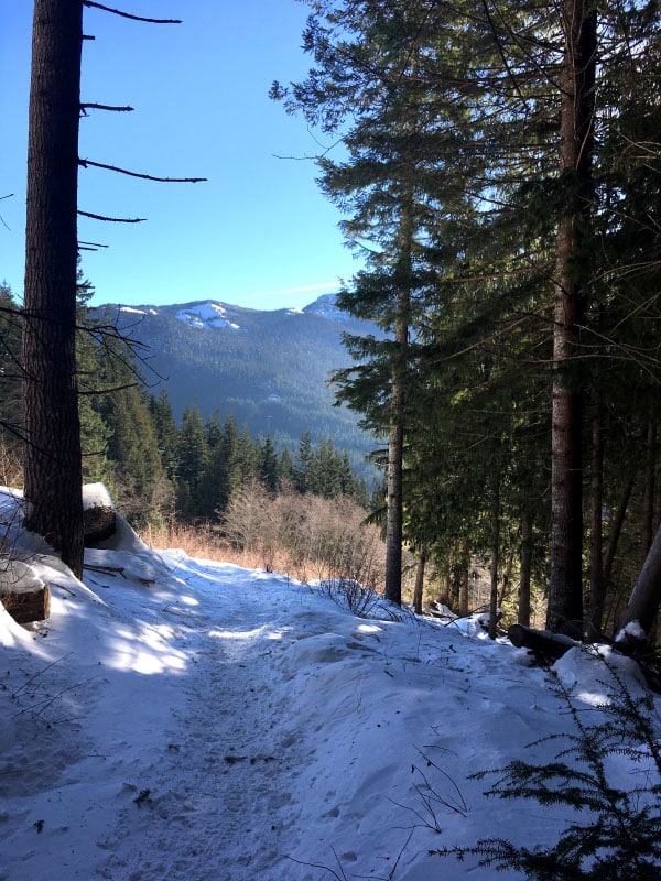 Backcountry Snowshoeing