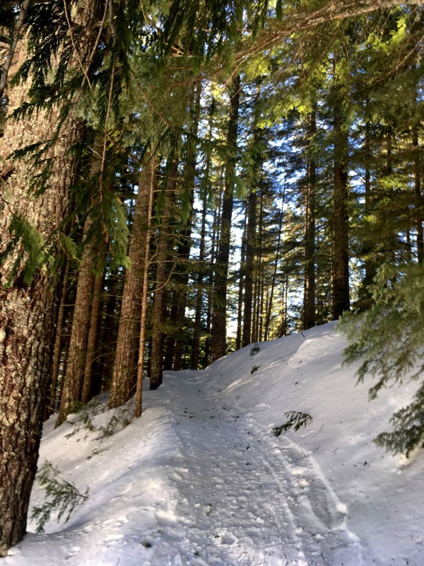 Backcountry Snowshoeing