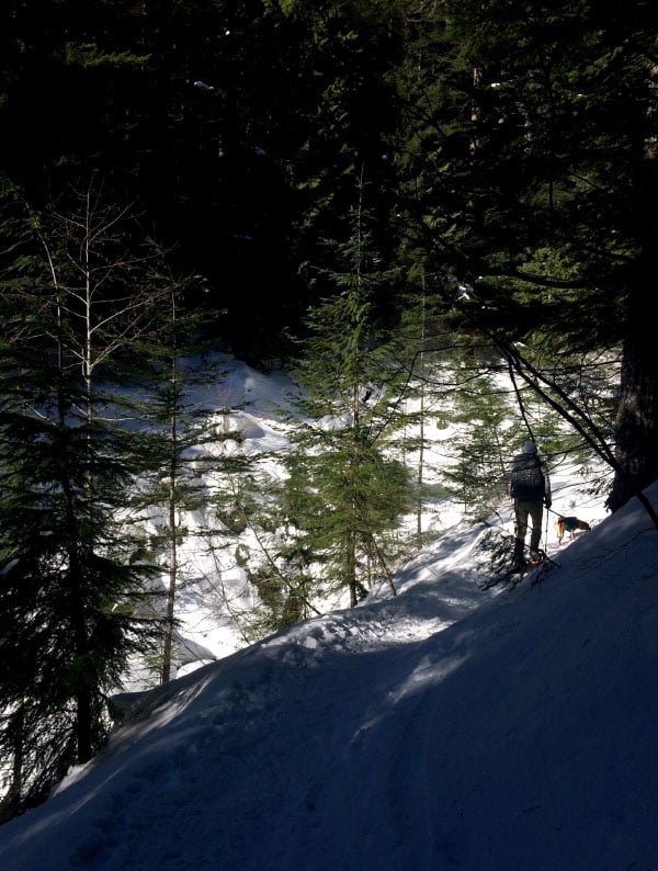 Backcountry Snowshoeing