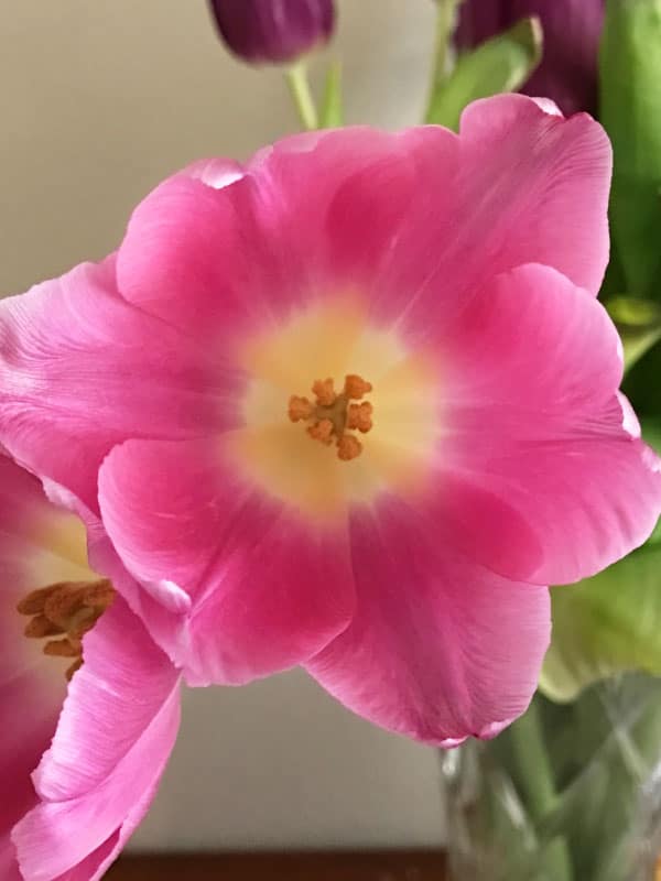 Friday Thrive www.thisrunnersrecipes.com