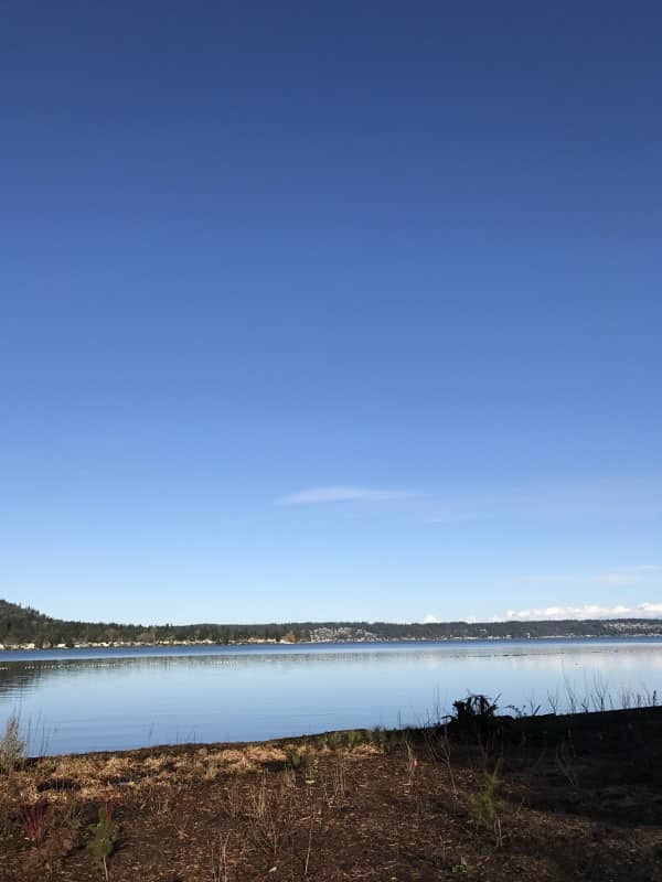 2017 Lake Sammamish Half Marathon Race Recap