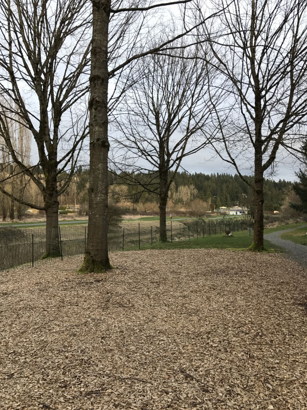 Mile Markers: Recovery and Reset