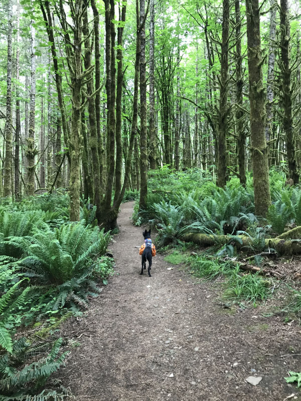 Mile Markers: Humidity Rising