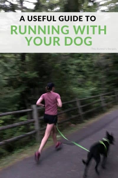 A Useful Guide to Running with Your Dog