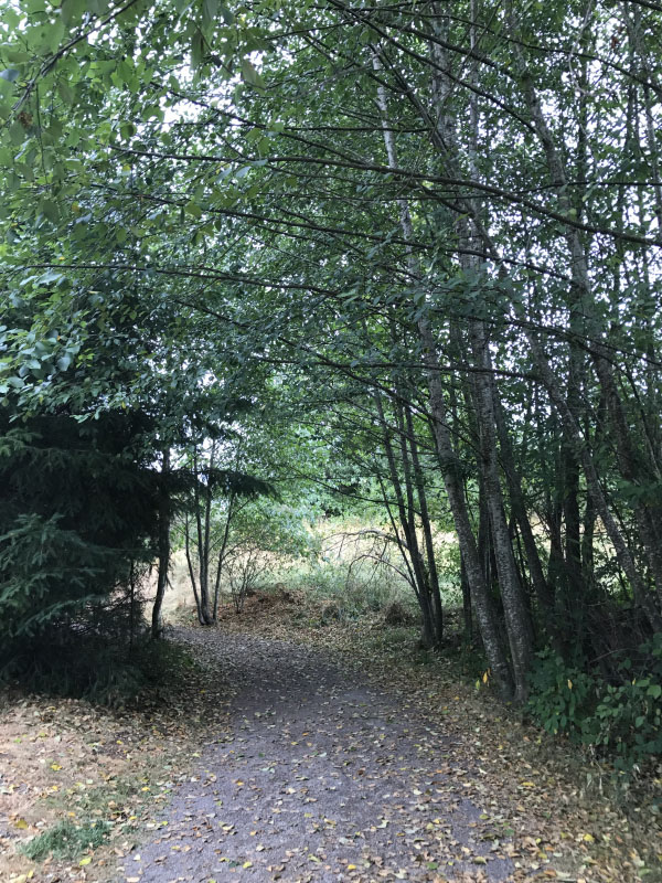 Mile Markers: Ramp Up