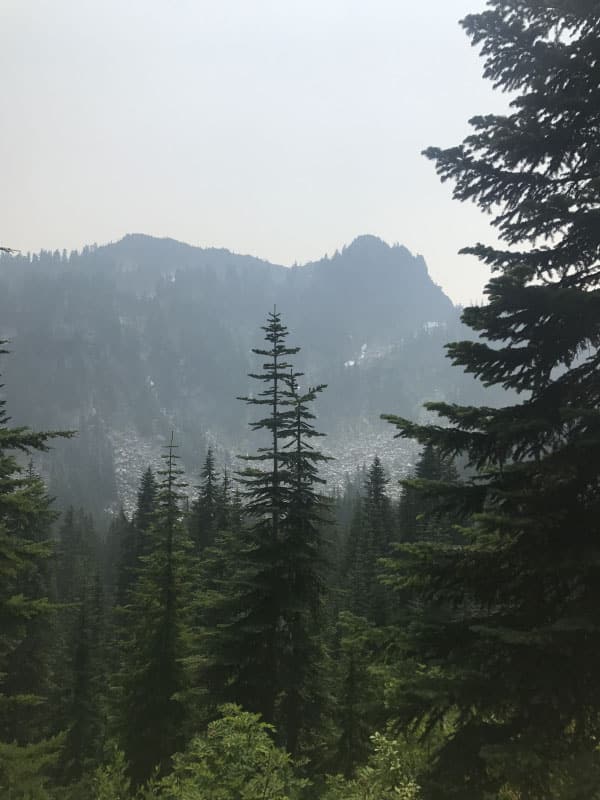 Mile Markers: Down Week