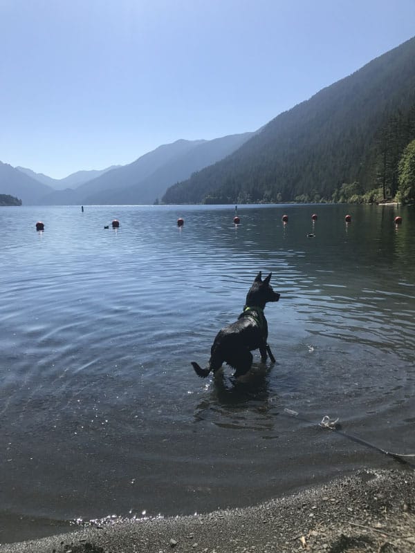 Summer of Hiking and Camping