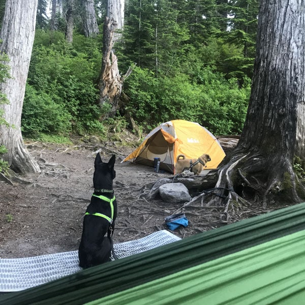 Summer of Hiking and Camping