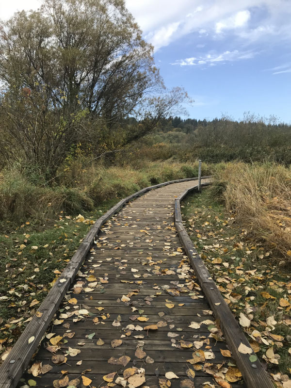CIM Training Week 10
