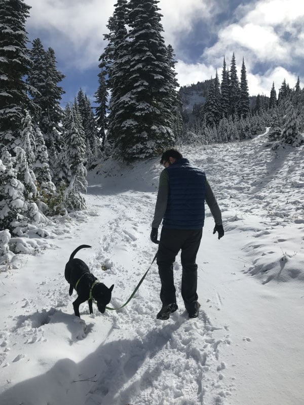 Early Season Snow at Mount Rainier